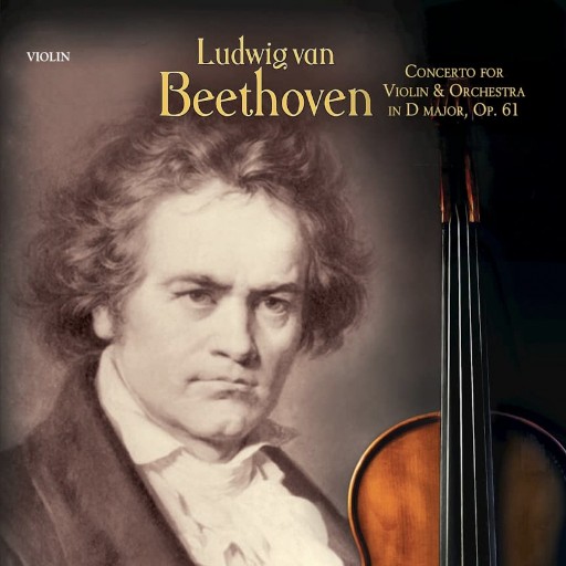 Beethoven Violin Concerto Concerts in Houston
