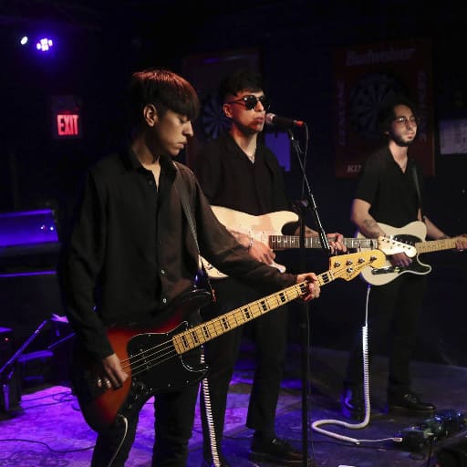 French Police Concerts in Houston