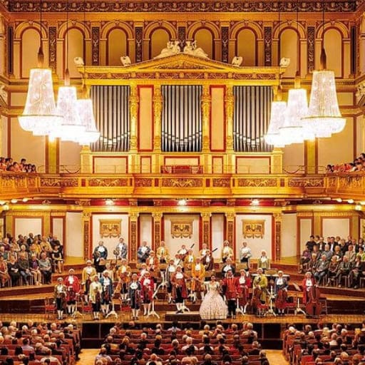 Mozart Concerts in Houston