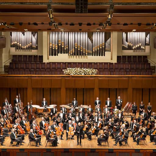 National Symphony Orchestra Concerts in Houston