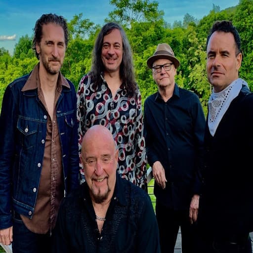 The Fabulous Thunderbirds Concerts in Houston
